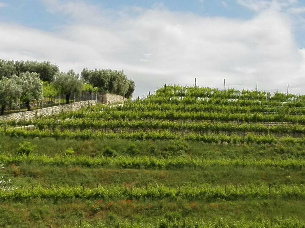 B&B Corte Giare SantʼAmbrogio di Valpolicella Exterior foto